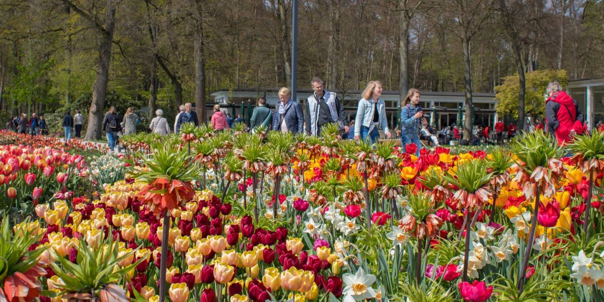 Gartenschau Bad Lippspringe